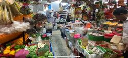 201C TAMPINES STREET 21 (D18), Shop House #556775901
